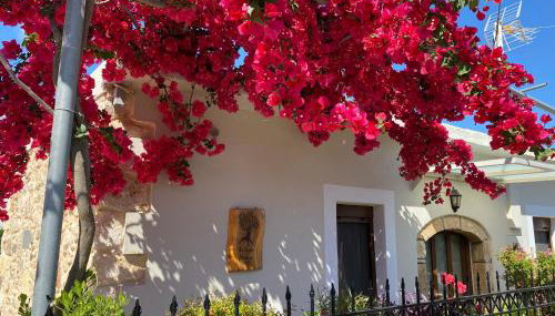 BIO Garden Stonehouse - Foto 3