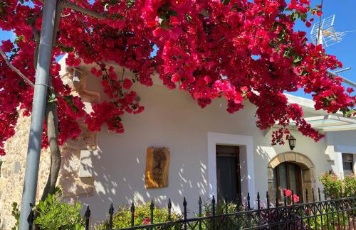 BIO Garden Stonehouse - Foto 3