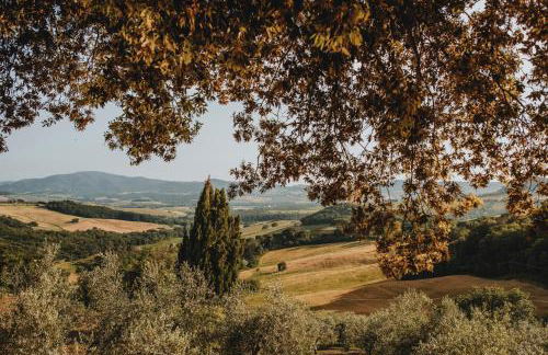 Tenuta Mocajo - Foto 16