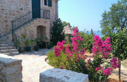 Apartment Zvonimir - Photo 1