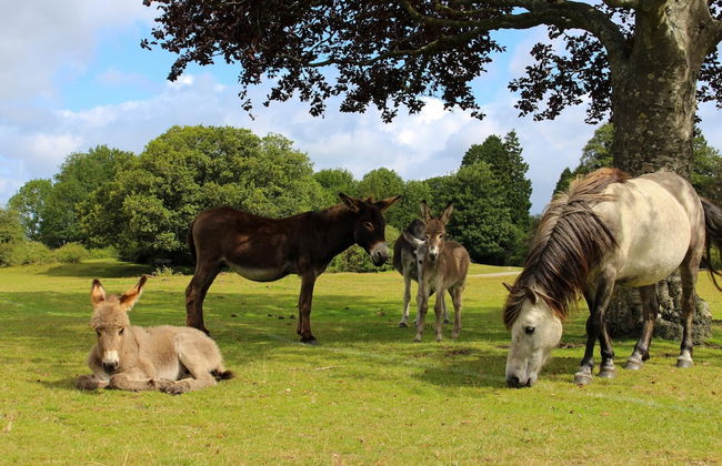 Leeward House - Photo 37