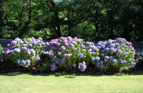 Glenwood luxury Cottage Betws-y-coed - Foto 35