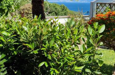 casa Giulia Posillipo wide - Photo 78