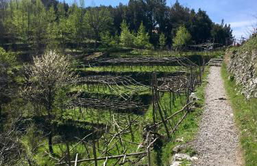 La Libraia - Foto 33