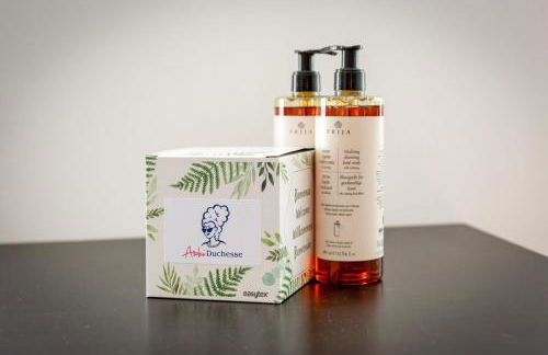 Rollin appartement 3 personnes avec Netflix au calme ! - Foto 22