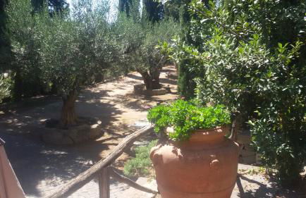 La Dolce Casetta - Foto 58