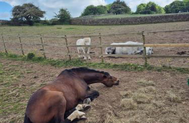 Luxury Peak District stay set in private land with horses and country Pub - Dog Friendly - Foto 18