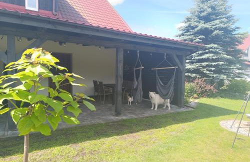 Agroturystyka Pod Pstrągiem - Foto 56