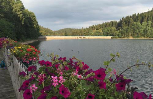 Holidayhaus Lütsche - Photo 10