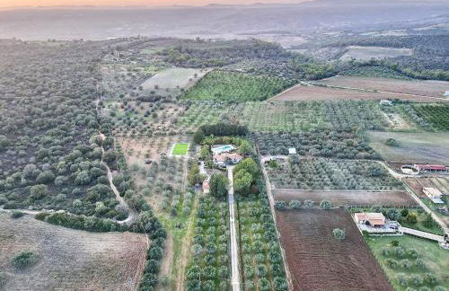 Villa Serenità - Foto 52