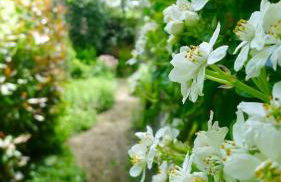 Beautiful Pilley Green Cottage - Foto 25