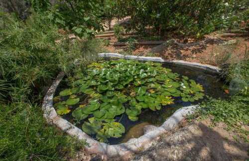 Family Getaway in Marathon by GHH - Foto 25