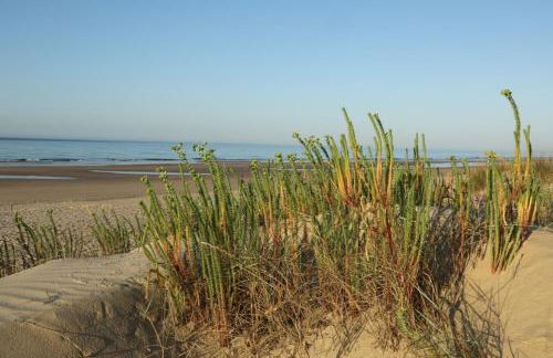 Casa da Retur-Praia do Cabeco-Algarve-Castro Marim - Photo 22