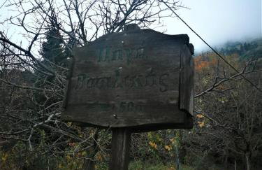 Dandy Villas Agoriani - Chalet Ivoni - Fireplace - Foto 46