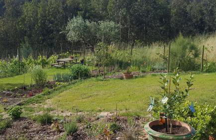 Casa Limonina - Foto 39