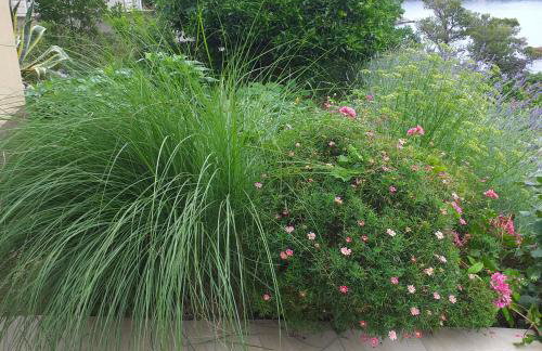 New studio app for 2 - Foto 11