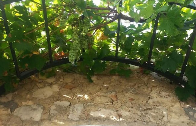 Tenuta de Marco - Foto 19