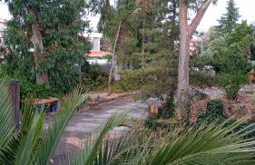 Ai 4 gatti - Foto 21