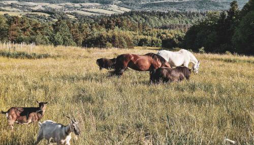 Nomads' Hill - dom z widokiem na góry - Foto 4