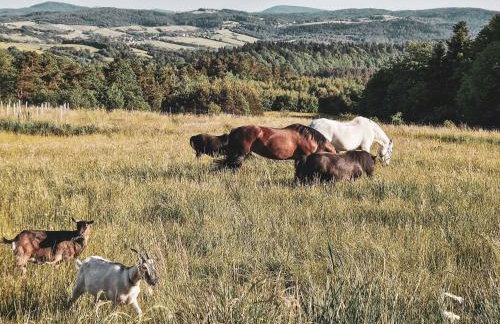 Nomads' Hill - dom z widokiem na góry - Foto 4