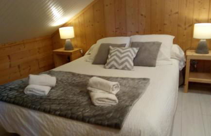 Le pic-vert - Foto 24