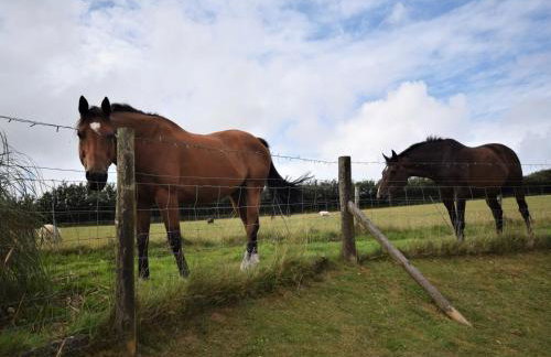 2 Bed in Parracombe 51619 - Foto 16