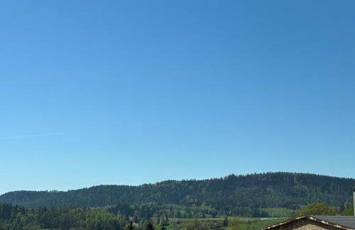 Apartament Gold Rynek Mieroszów Wi-Fi, nc plus - Foto 12