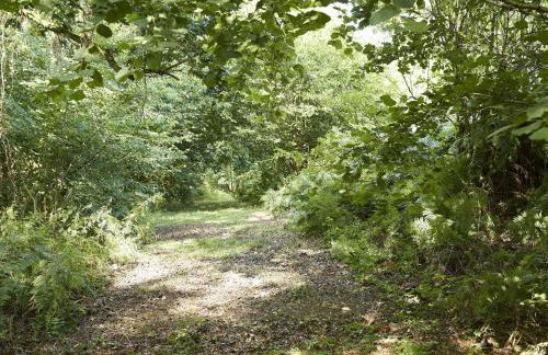 Downclose Piggeries - Photo 20