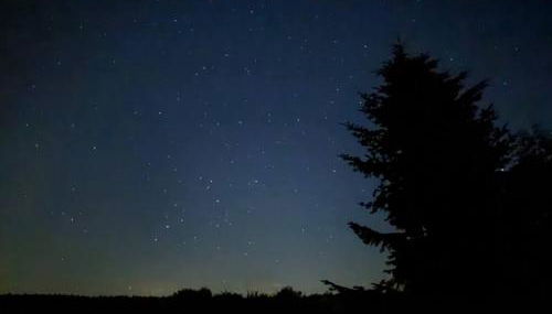 Black Forest Stüble - Foto 5