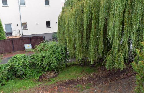 Grey 5 Zgorzelec - Görlitz - Foto 26