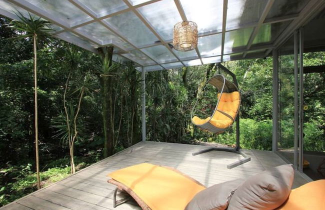 Relaxing Sound of River Birds Squirrels - Foto 1