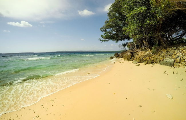 Aore Breeze - Photo 17