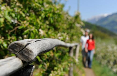 AMELIA apartments - Foto 40