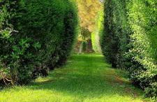 GuestReady - Seaside Serenity in Comporta - Foto 43