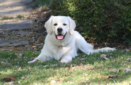 The Rectory Lacock Cottages - Foto 19