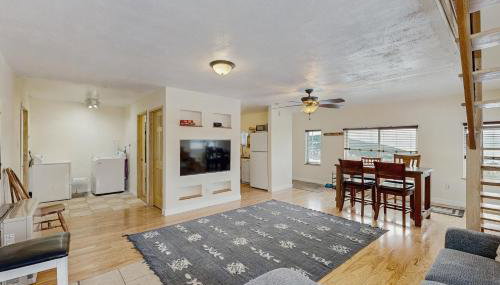 Little Black Bear - Photo 3