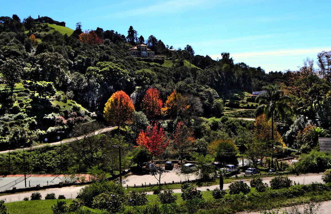 Towns of Tucuman Tour - Photo 8