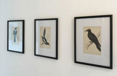 Landidyll - Bauernhaus Ländchen Bellin - Photo 21