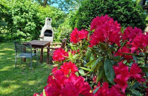 Ferienhaus Vogelsbergblick, Fernblick, Sauna, Kamin, 1700m eingezäunt in Alleinlage - Foto 65