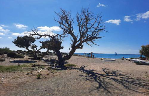 New Sea Escape Boutique Apt-Agii Aposto li beach - Foto 58