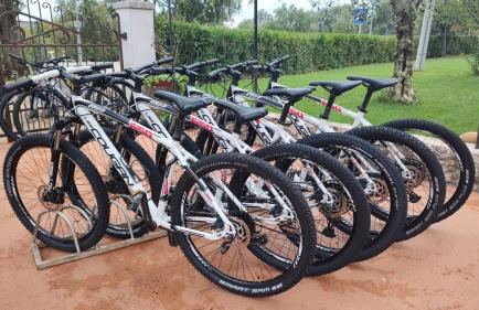 Apartments Villa Amaryllis - Foto 47