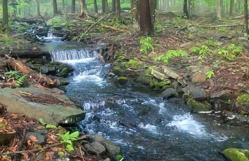 Romantic Pocono house - stream, lake, beach, pool, firepit - Foto 1
