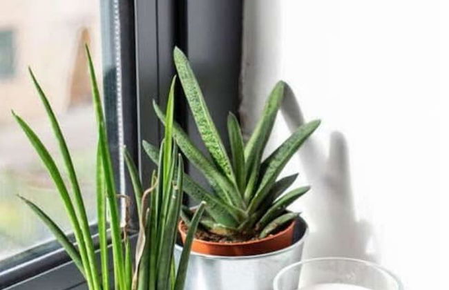 Central Belfast Apartments: Victoria - Foto 63