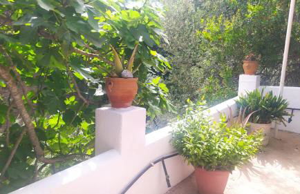 Casa Rural El Castillo - Foto 12