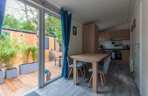 Iguana - Das Tiny Haus am Reptilienzoo Reptilium - Foto 36