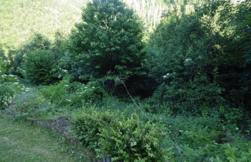 Ferienwohnung Schäfer - Foto 8