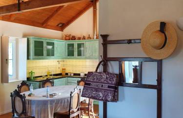 Casa de Campo - Cinfães do Douro - Foto 20