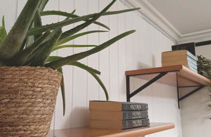 Fogar Florida - Petfriendly - Terraza - Free Parking - 1BR - Foto 7