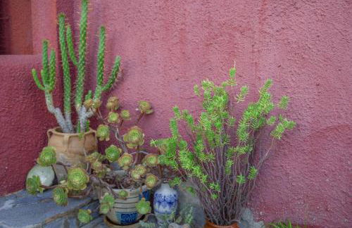 Casa Meridian - Foto 24