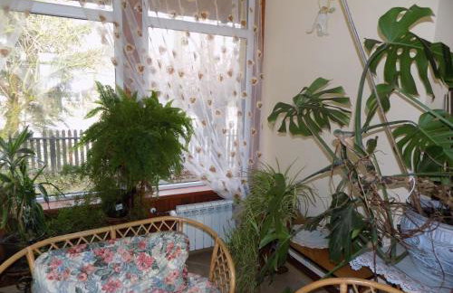 Kwiatowa Zagroda - Foto 46